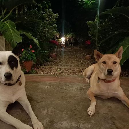 Villa Albizia, Chiang Mai Doi Saket Eksteriør bilde